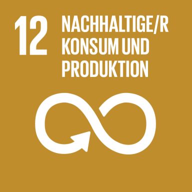 SDG 12 Icon