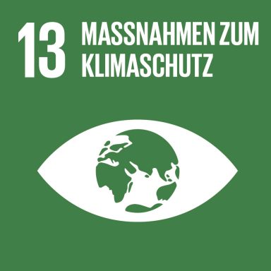 SDG 13 Icon