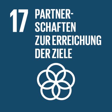 SDG 17 Icon